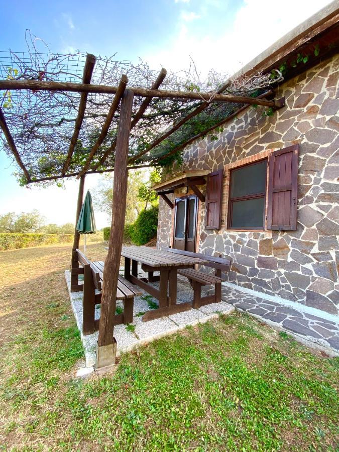 Agriturismo “Sterrati” Valpiana  Exterior photo